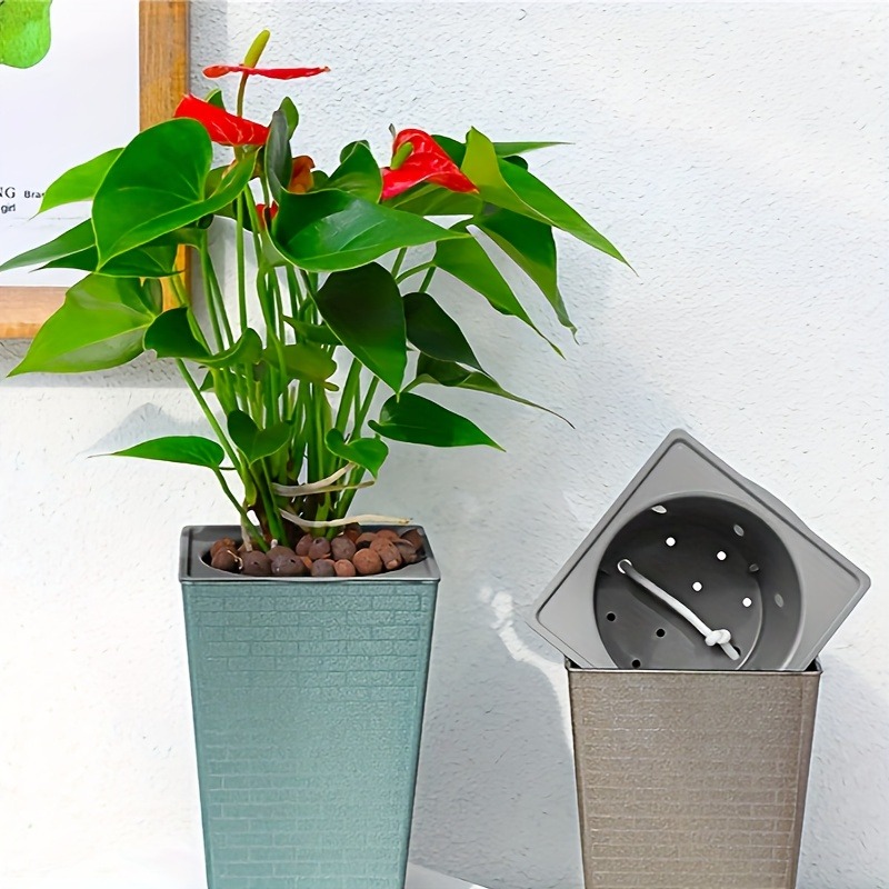 Pilea Peperomioides - Plastic Brick Pattern Flowerpot Creative Shape