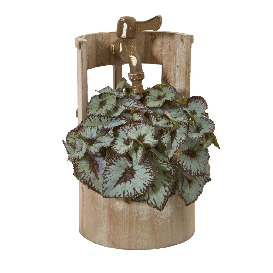 12in. Rex Begonia Artificial P - Begonia Rex ulasan dan harga