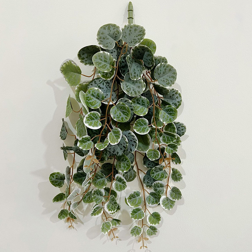 49cm Artificial Plants Vines F - Pilea Peperomioides ulasan dan harga