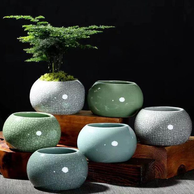 Creative Handmade Geyao Ice Cr - Pilea Peperomioides ulasan dan harga