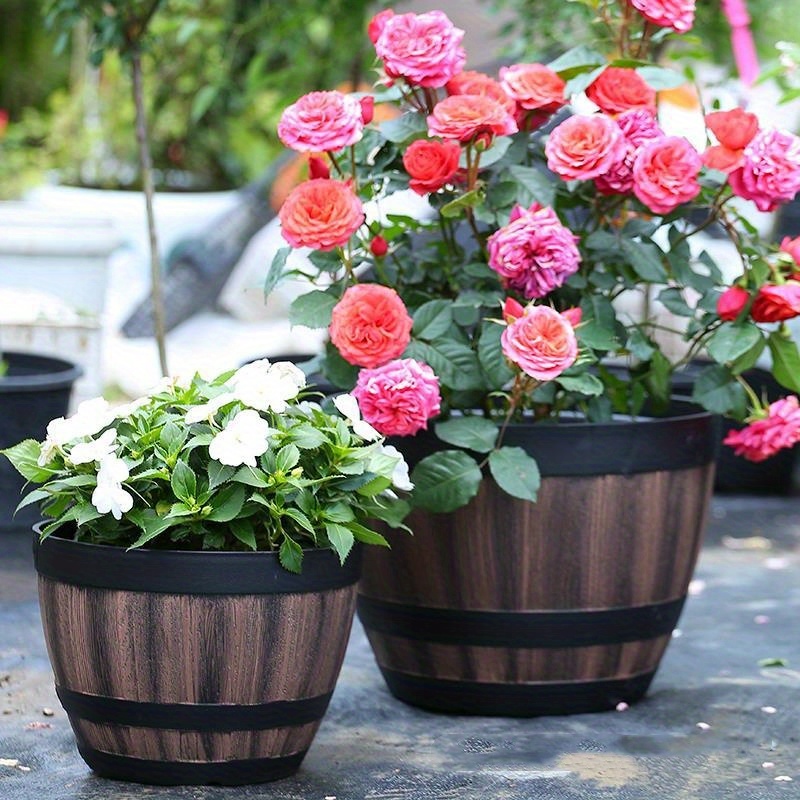 Durable Plastic Round Elegant  - Aloe Vera Pot ulasan dan harga