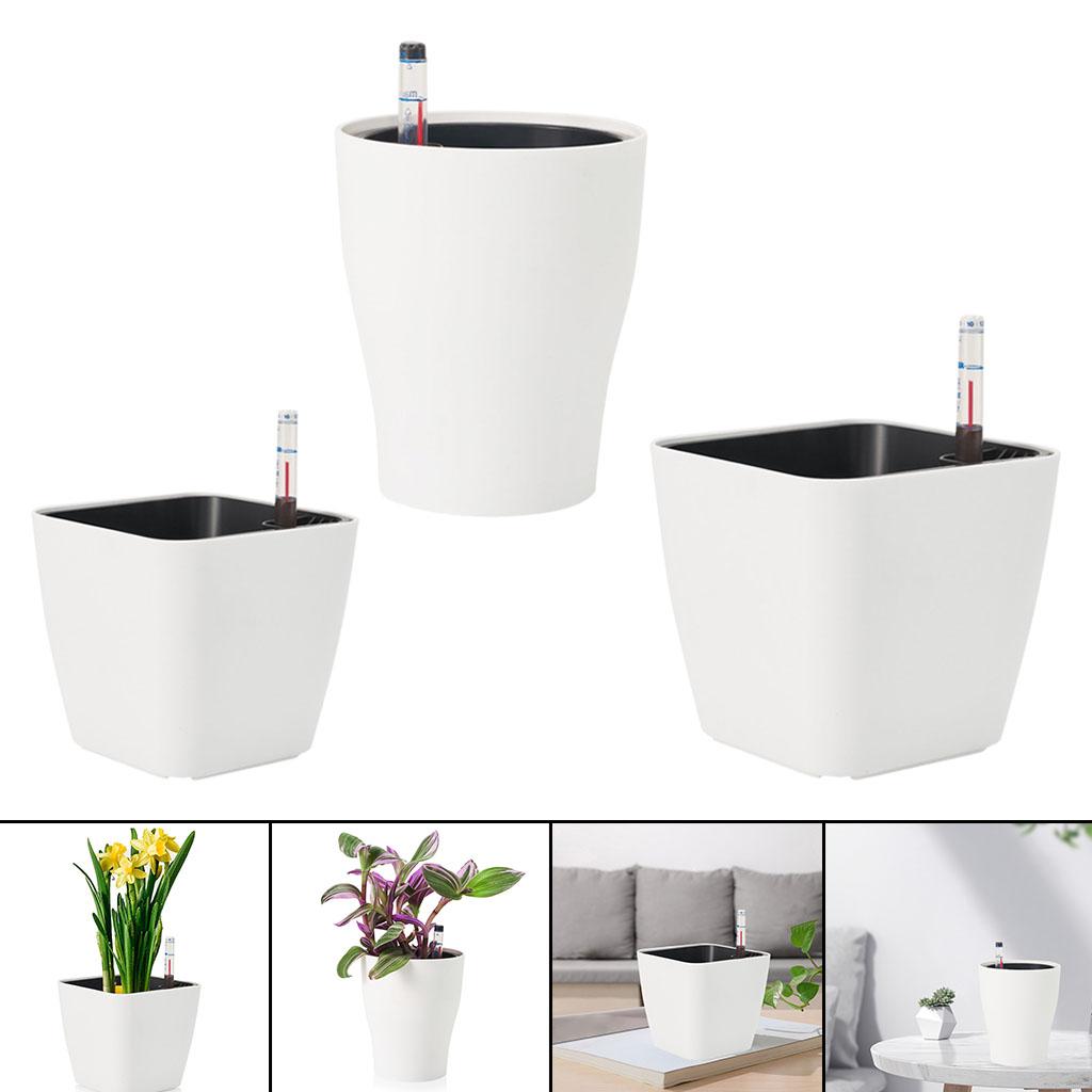 Self Watering Flower Pots Plan - Aloe Vera Pot ulasan dan harga