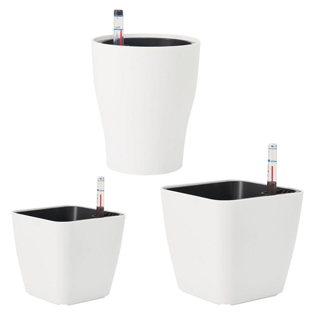 Self Watering Flower Pots Plan - Aloe Vera Pot ulasan dan harga