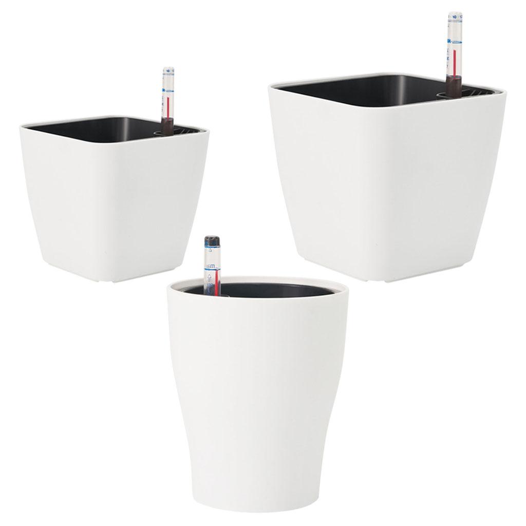 Self Watering Flower Pots Plan - Aloe Vera Pot ulasan dan harga