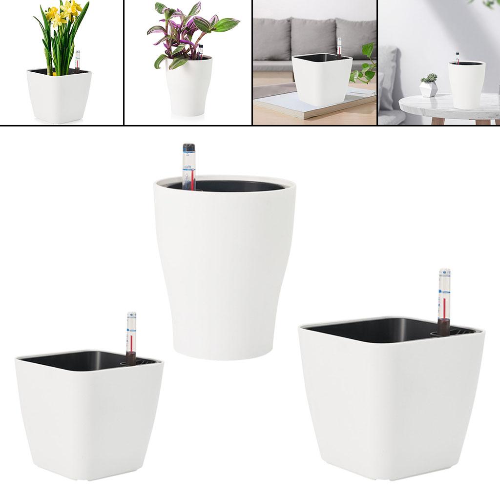 Self Watering Flower Pots Plan - Aloe Vera Pot ulasan dan harga