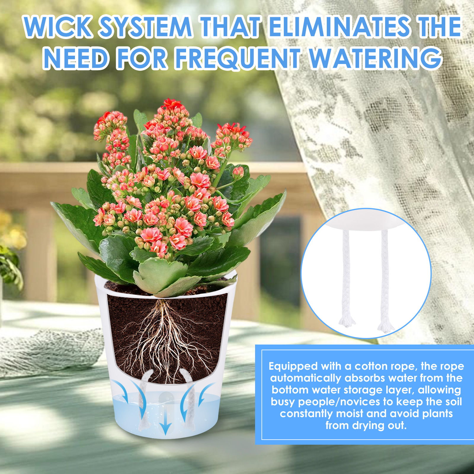 10Pcs Self Watering Plastic Fl - Aloe Vera Pot ulasan dan harga