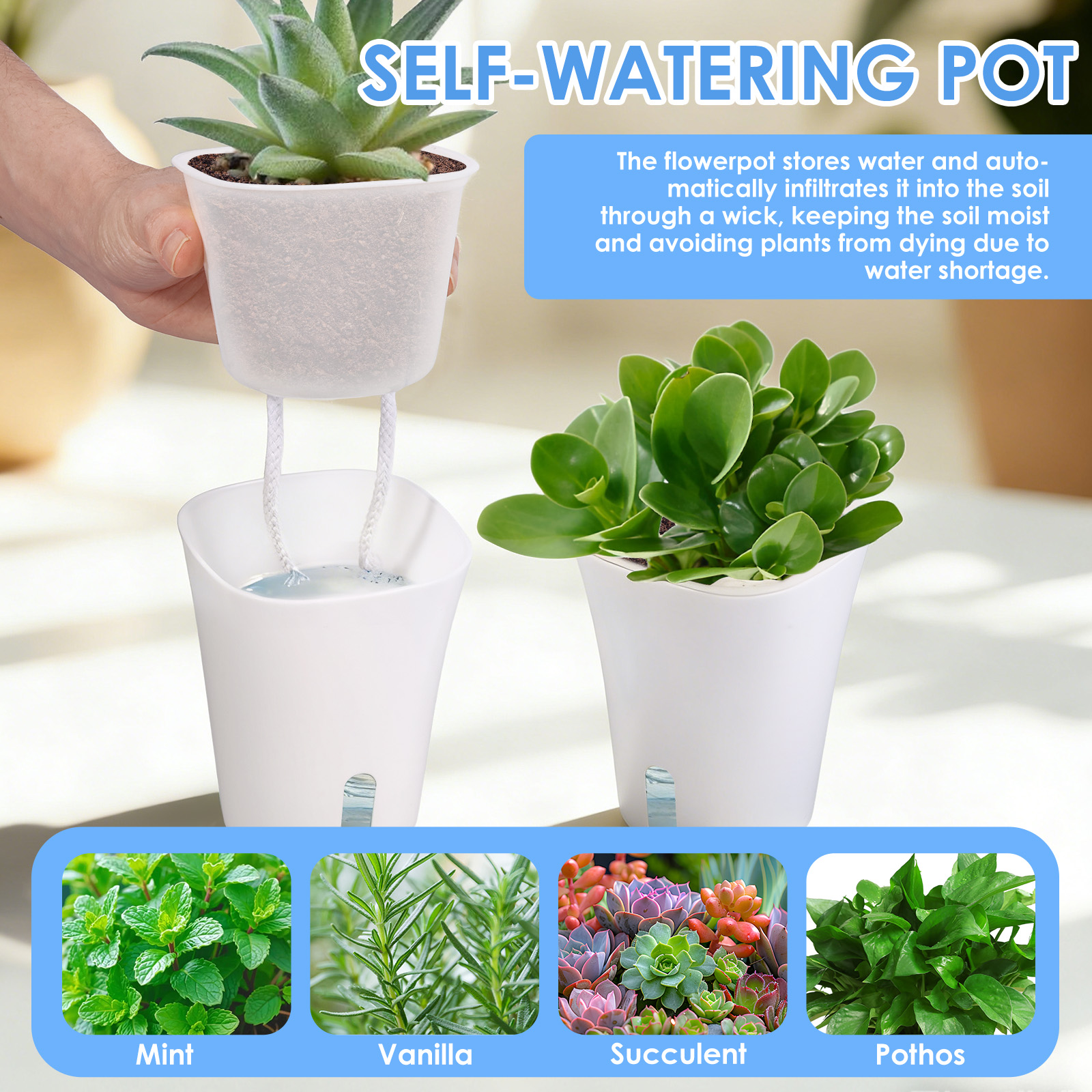 10Pcs Self Watering Plastic Fl - Aloe Vera Pot ulasan dan harga