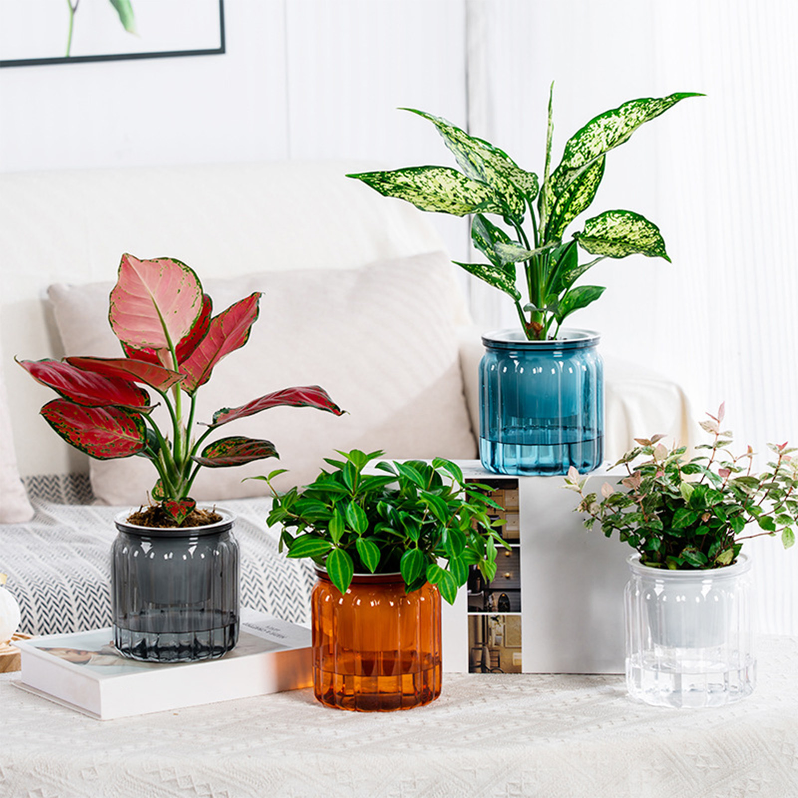 Lazy Hydroponic Flower Pot Aut - Aloe Vera Pot ulasan dan harga