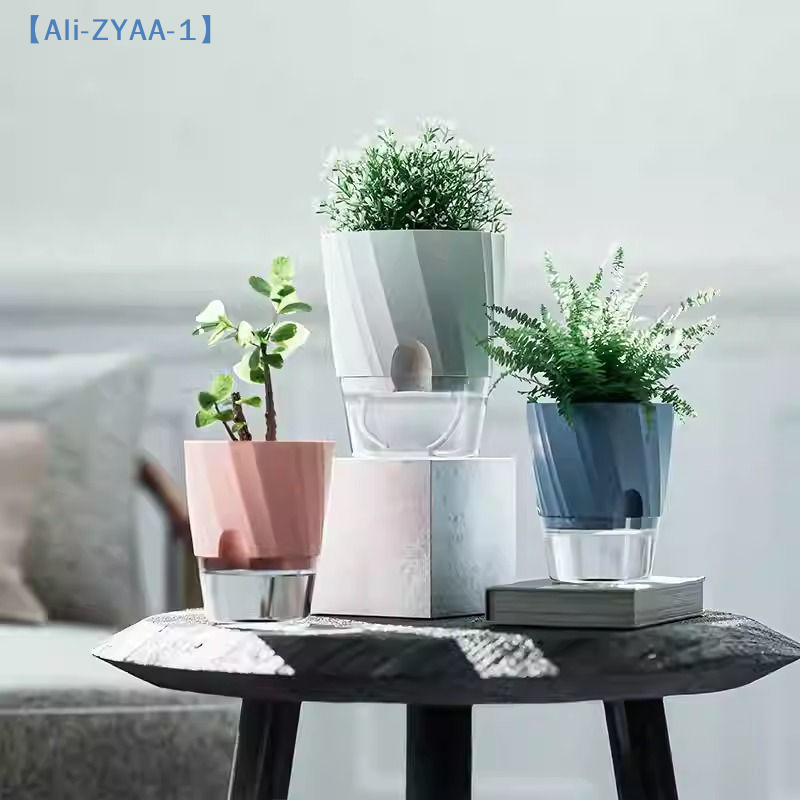 【ZYAA-1】Lazy Hydroponic Flower - Aloe Vera Pot ulasan dan harga