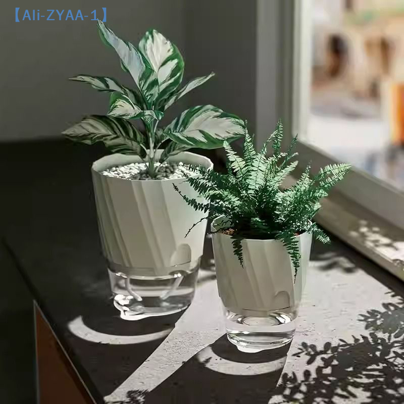 【ZYAA-1】Lazy Hydroponic Flower - Aloe Vera Pot ulasan dan harga