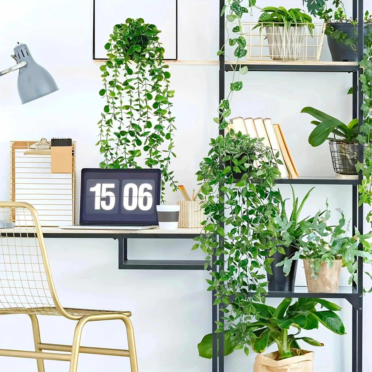 Artificial hanging plants, euc - Pilea Peperomioides ulasan dan harga