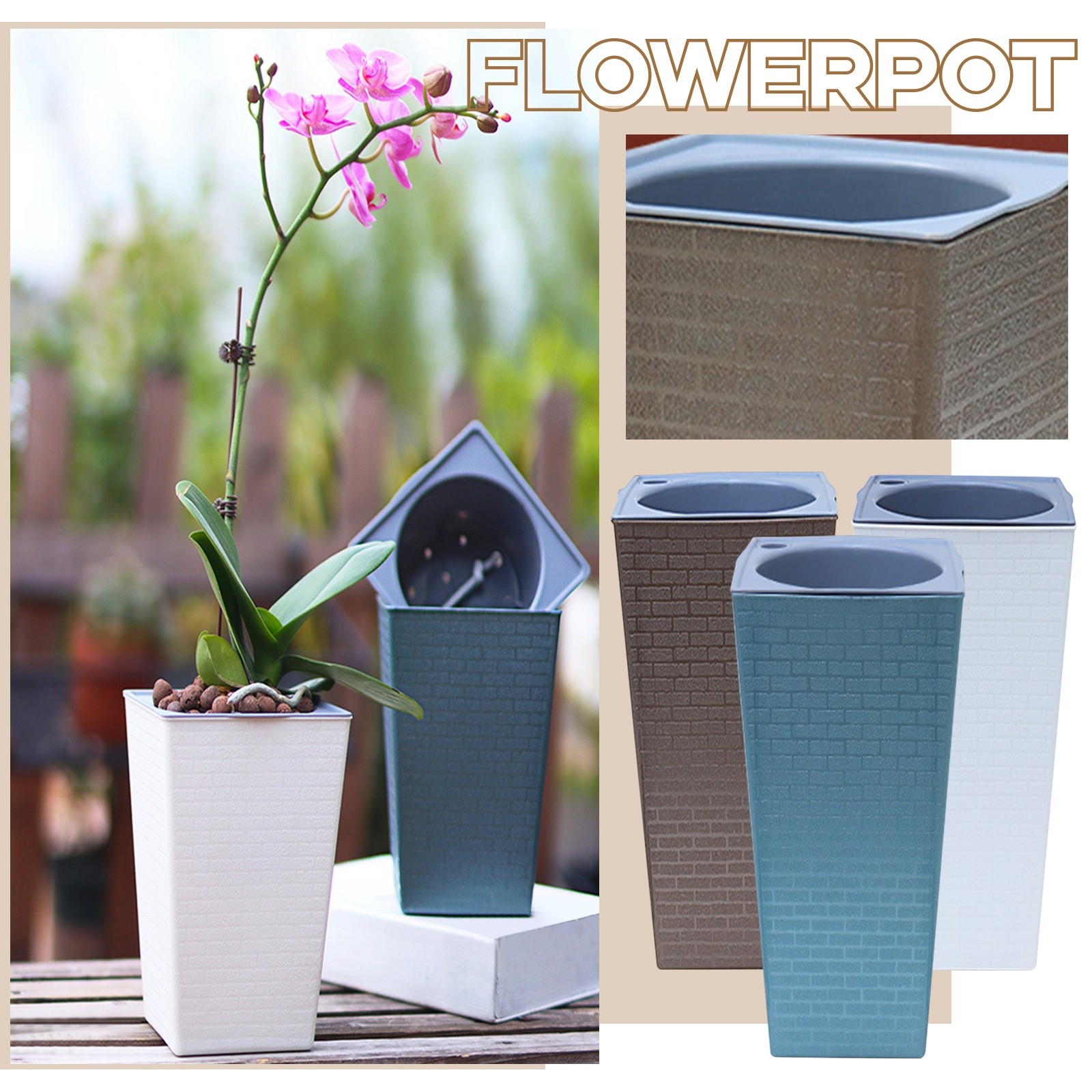 Bonsai-pattern Square Flowerpo - Pilea Peperomioides ulasan dan harga