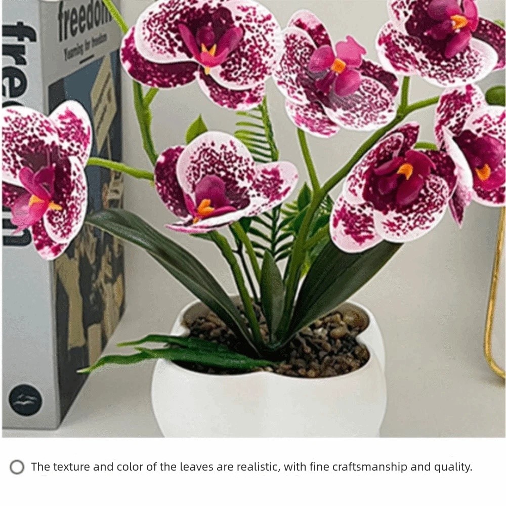 Multi-Bloom Simulated Butterfl - Pilea Peperomioides ulasan dan harga