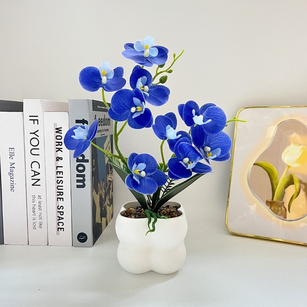 Multi-Bloom Simulated Butterfl - Pilea Peperomioides ulasan dan harga