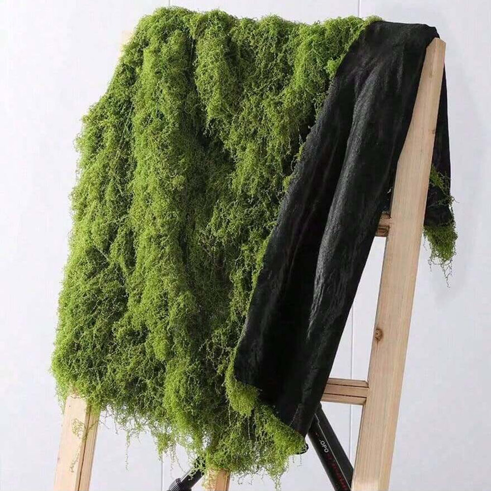 1*1m Fake Moss DIY Crafts Gras - Pilea Peperomioides ulasan dan harga