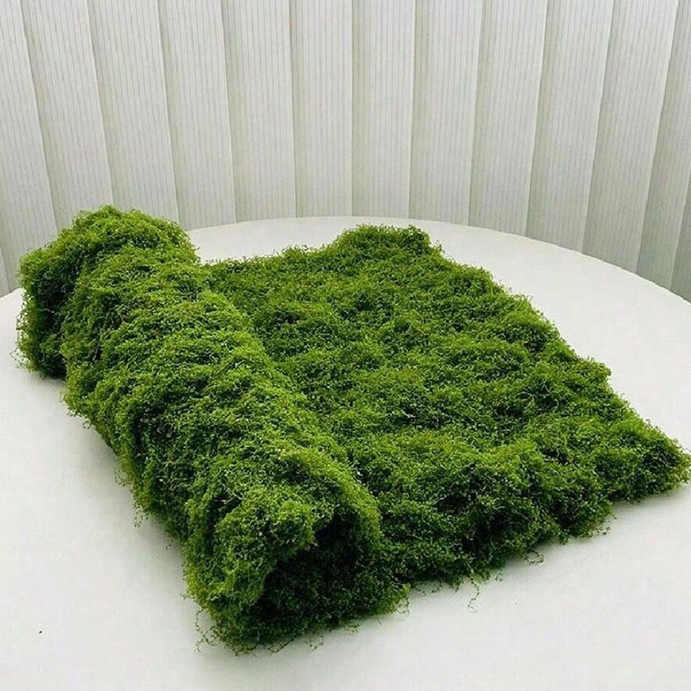1*1m Fake Moss DIY Crafts Gras - Pilea Peperomioides ulasan dan harga