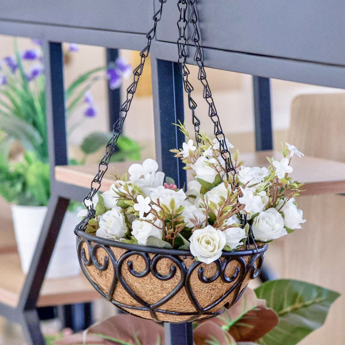 Coconut Liner Iron Chain Hangi - Spider Plant Hanging ulasan dan harga