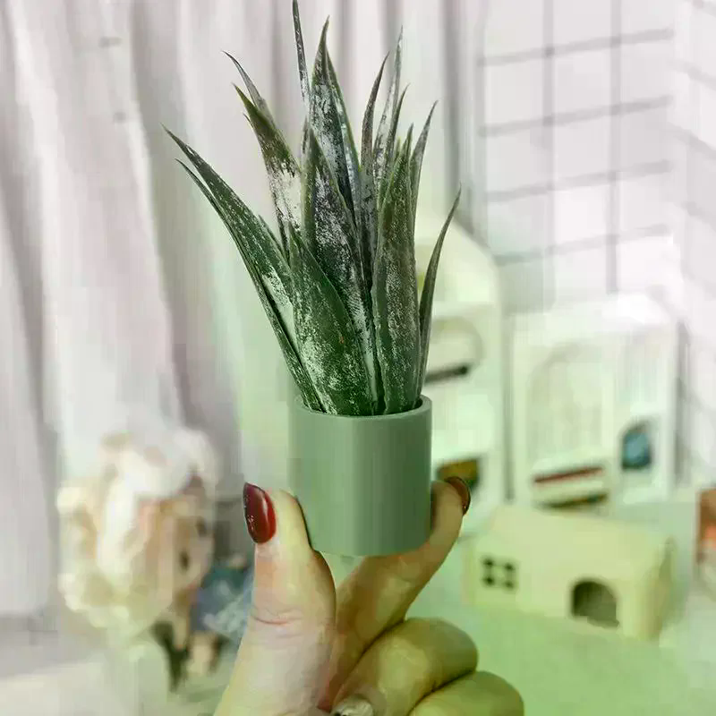 Dollhouse Decor Mini Aloe Vera - Aloe Vera Pot ulasan dan harga