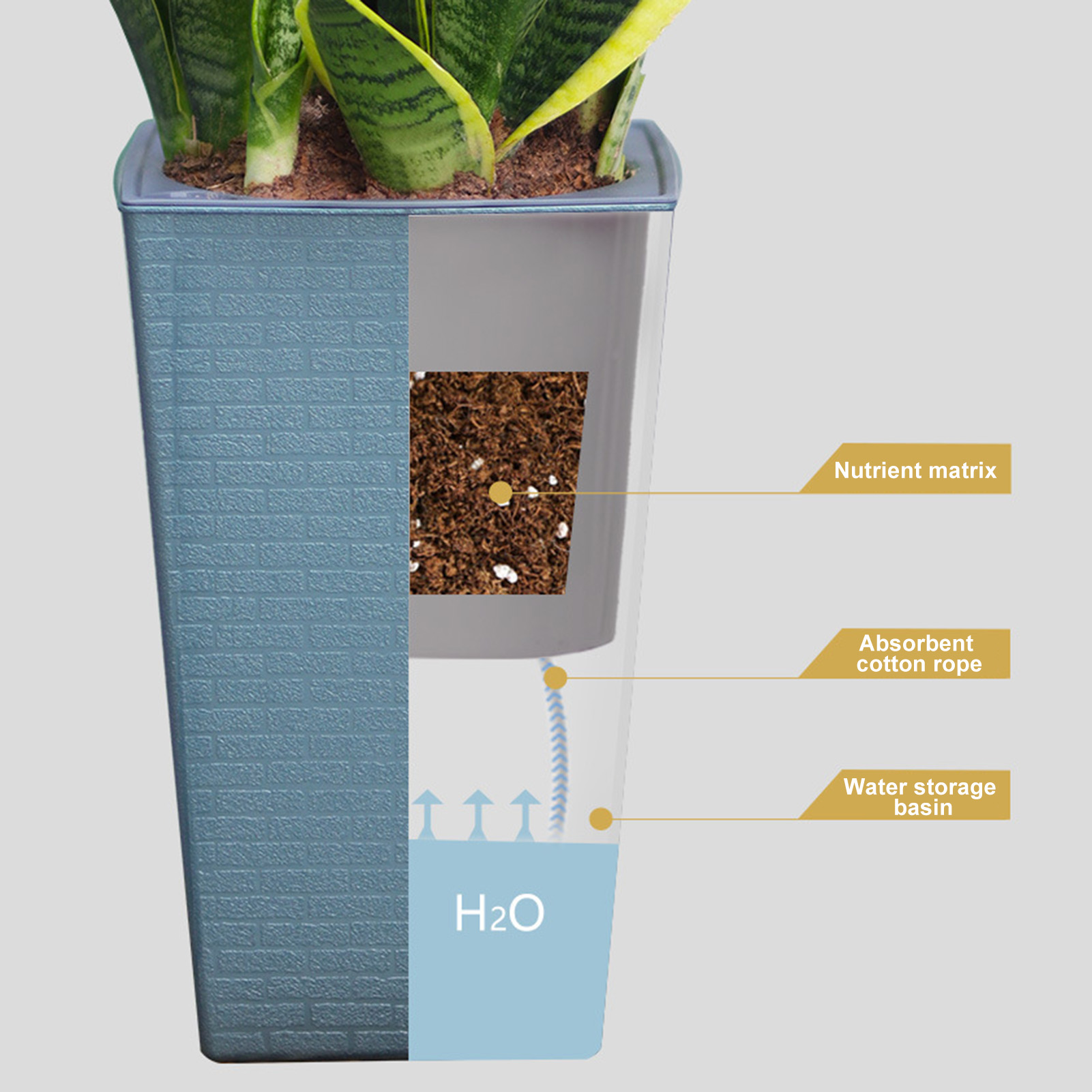 Self Watering Planter Handmade - Pilea Peperomioides ulasan dan harga