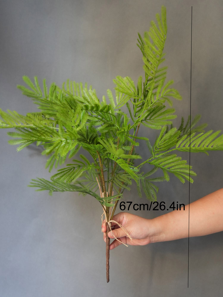 1PC Real Touch Feeling Fern Le - Pilea Peperomioides ulasan dan harga