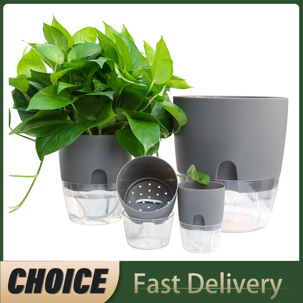 Transparent Double Layer Plast - Aloe Vera Pot ulasan dan harga