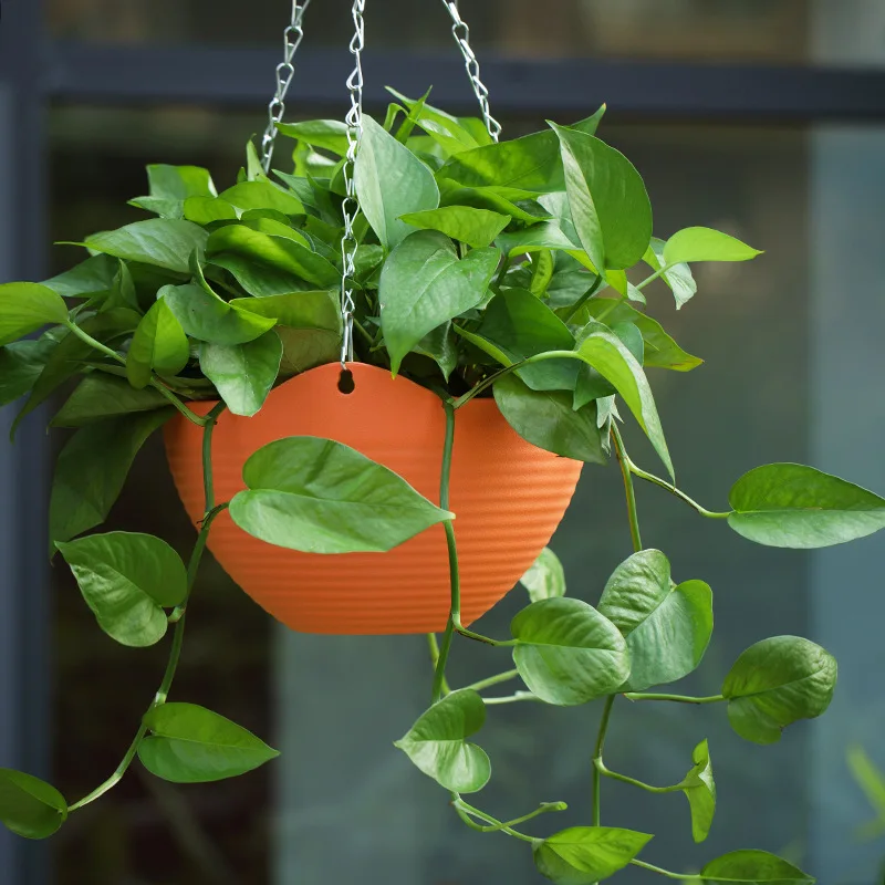 Creative Chinese Ceramic Flowe - Pilea Peperomioides ulasan dan harga